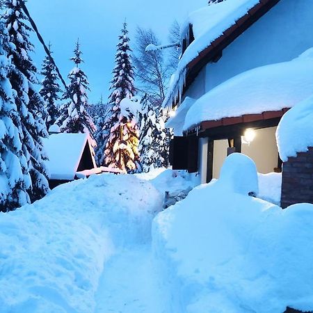 Uki & Sofi Mountain House Hotel Kopaonik Exterior foto