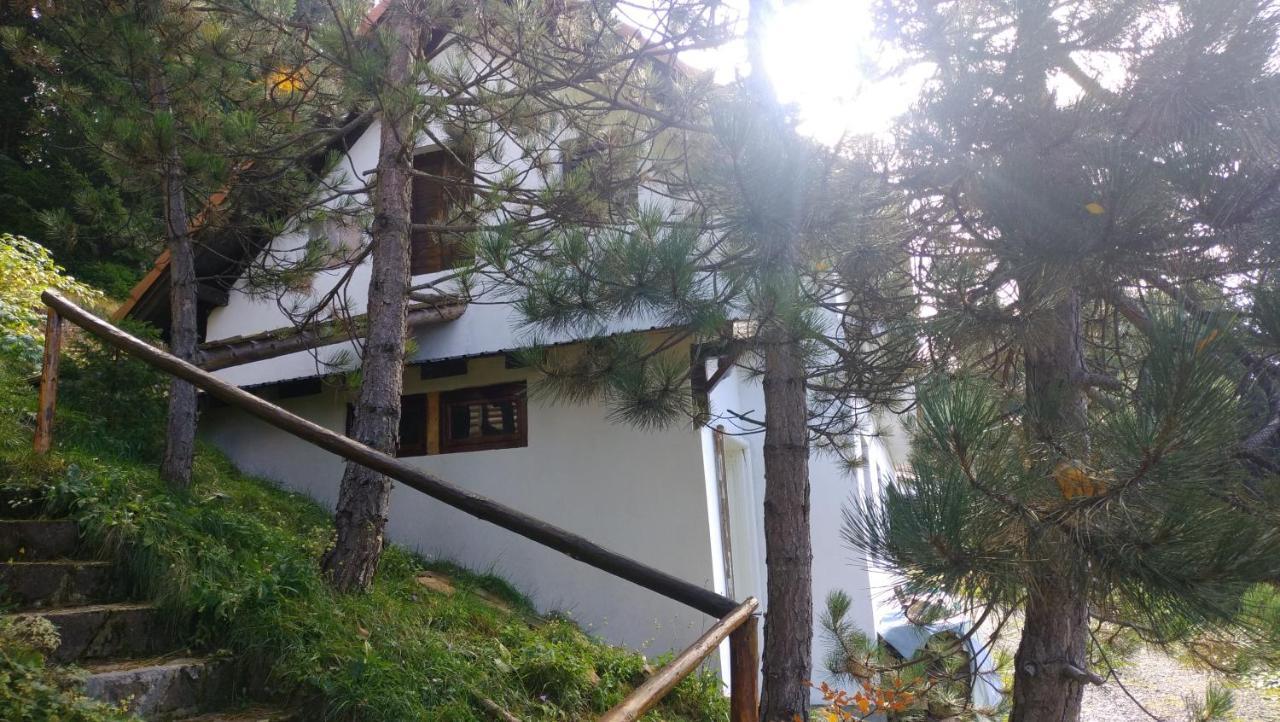 Uki & Sofi Mountain House Hotel Kopaonik Exterior foto