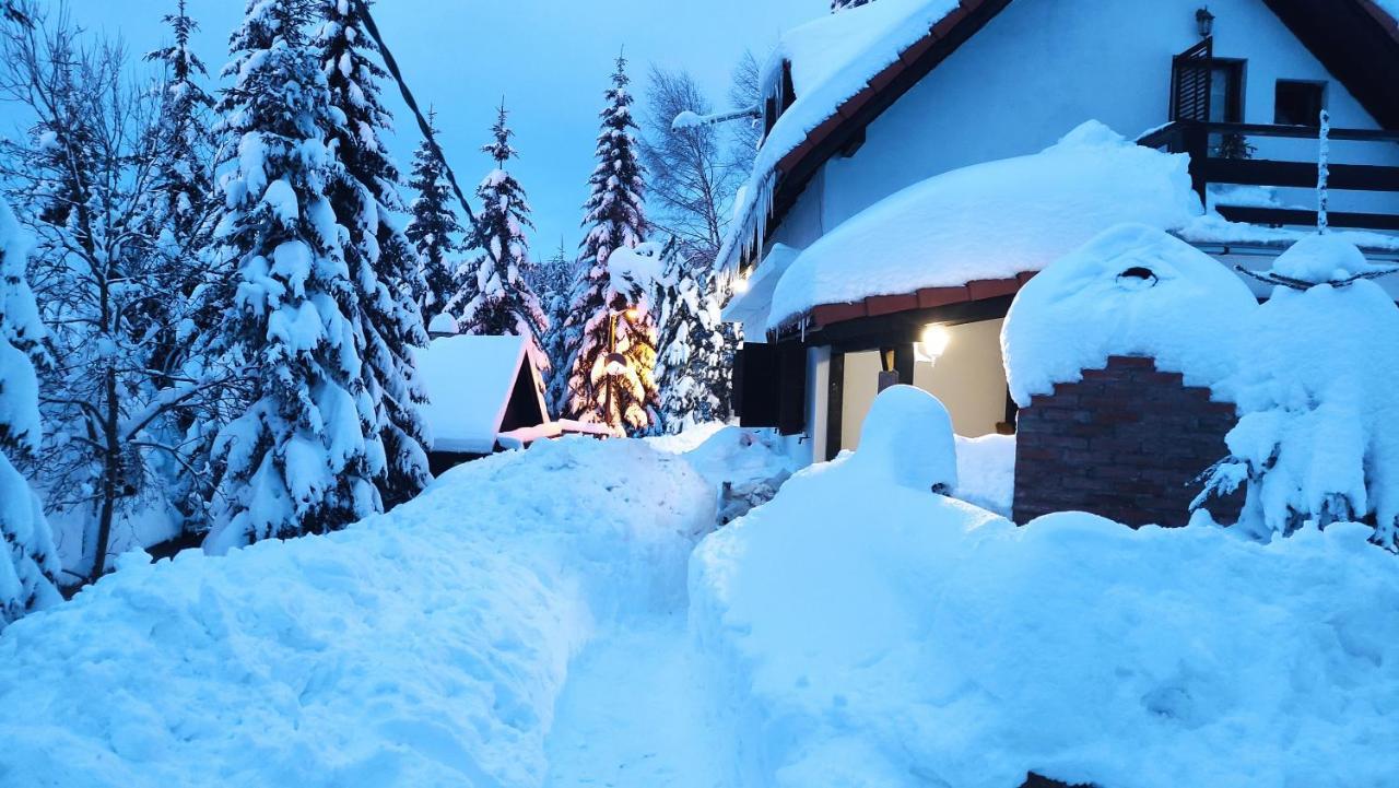 Uki & Sofi Mountain House Hotel Kopaonik Exterior foto