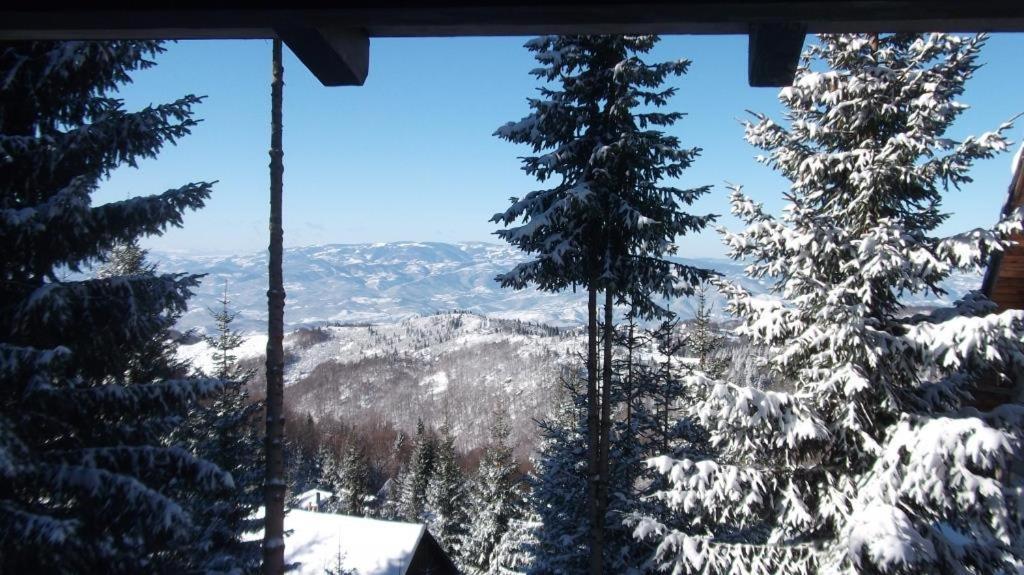 Uki & Sofi Mountain House Hotel Kopaonik Exterior foto